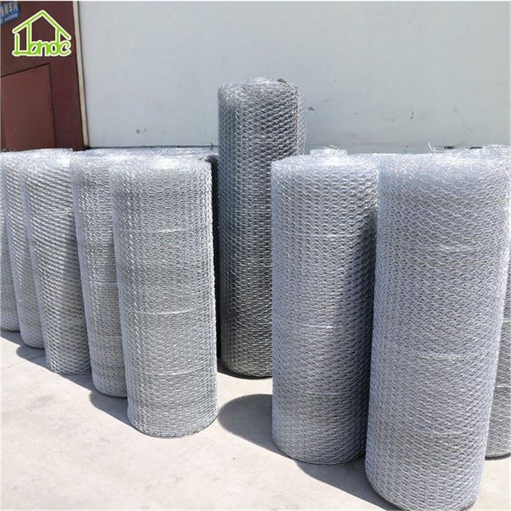 Black And Green Hexagonal Wire Mesh