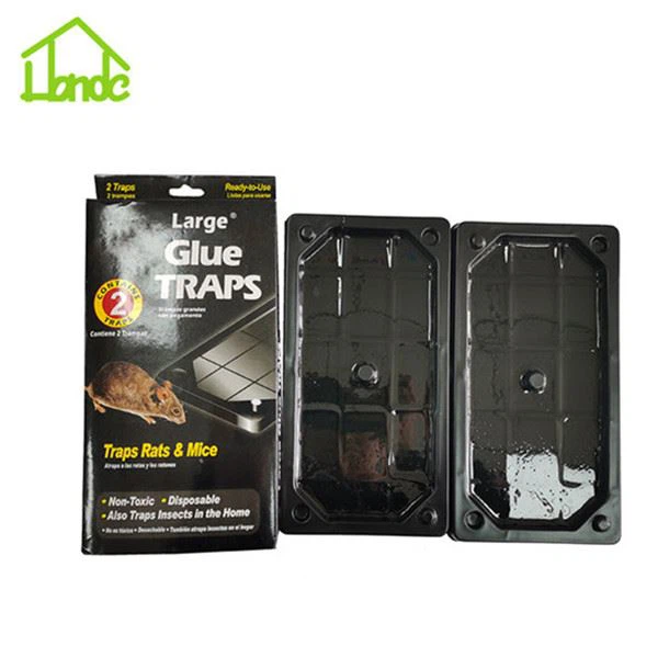 Snake And Insect Glue Traps